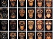 Homínidos celebra cumpleaños