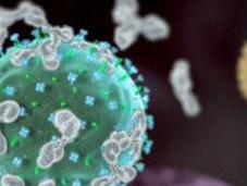 Simposio Internacional: Erradicación control enfermedades producidas virus