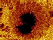 años observaciones manchas solares