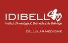 IDIBELL estrena programa cardiología experimental orientado investigación tratamientos personalizados