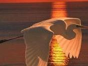 peor luchas, dejar luchar, facundo cabral