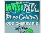 Playa Cuberris Cherry Hard Rock Cafe Valencia