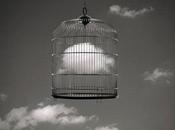 Metamorfosis libertad