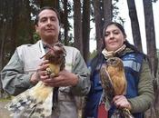 Preserva fauna promueve liberación áreas naturales protegidas
