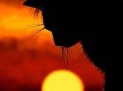 encontré buen día...