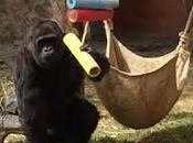 Huéspedes parque ecológico zacango pasarán frío