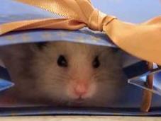 regalos divertidos para amigos