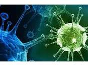 Cómo Influenza Afecta Cuerpo Repuesta Sistema Inmunológico