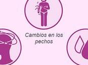Primeros síntomas embarazo