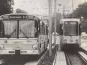 Ómnibus dual
