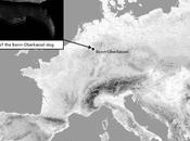 vínculo entre humanos perros hace 14.000 años