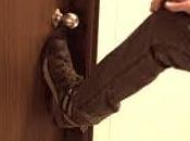 Derechos facilite, apropiación indebida permita ilegalidad fuertes reacciones