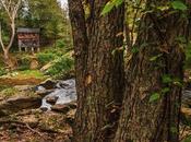 Arquitecturas olvidadas: meytre grist mill