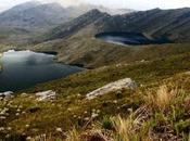 Parque Nacional Chingaza, escapada natural cerca Bogotá