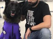 Last Parte tendrá perro