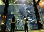 Parque Explora Medellín, experiencia sensorial