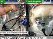 convergencia hacia robotización