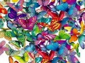 "Proyecto Mariposas"