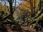 Donde pierde corriente