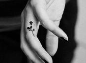 Cartas desde silencio