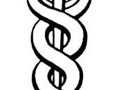 Micro “Caduceo”. Sarah Evil