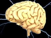 sedentarismo debilita cerebro incrementa riesgo sufrir demencia