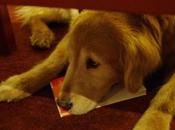 Encuentro Emilio Ortiz libro vida perro feliz"