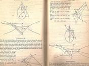 Activity 2.2. Conics