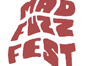 Fuzz: Pary Fest