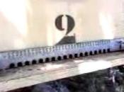 Experimentando Apicultura Extensiva Natural.