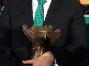 ing. jesús cuanalo distinguido premio "méxico manos"