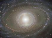 1398, galaxia espiral barrada impresionante