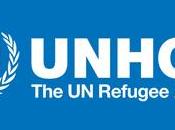 Informe ACNUR: 173.600 refugiados saharauis