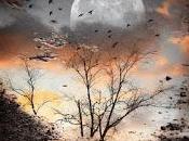 importa, corazón...