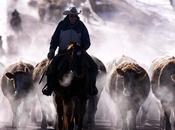 cowboy gauchos