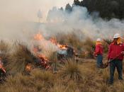 Inicia probosque operativo semana santa contra incendios forestales