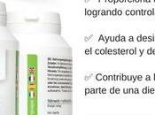 ¿Las patatas engordan?