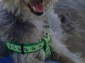 maleta peludo