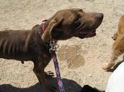 sola letra: diferencia entre cielo infierno