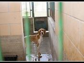 Etxauri, tienen familia pero moriran antes sólo piden días