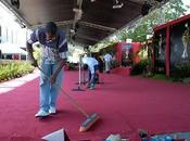 alfombra roja detalles