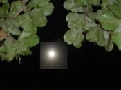 «Superluna» anoche