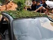 Jardín para techo coche