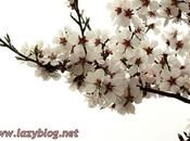 Recetario primavera