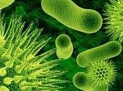bacteria espacial podría ayudar proteger humanos