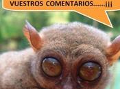 Para gente “labura”......