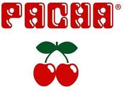 Pacha Bilbao
