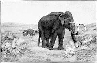¿Por extinguen animales?, Frederic Lucas