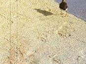 cielo llora (Premio Cervantes 2017) Sergio Ramírez,Descargar gratis