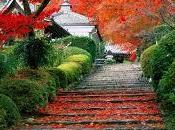 Pilar Cerdas novela...